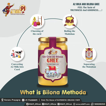 Why A2 Gir Cow Ghee Outshines Regular Ghee: A Detailed Comparison