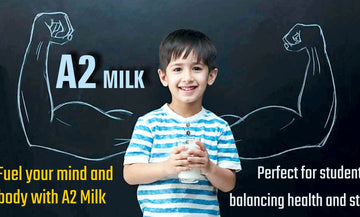 Milk91 A2 milk- A healthy source of nutrition for your kids